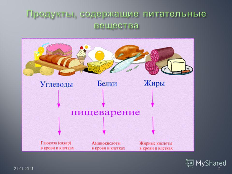 Белки г жиры г углеводы