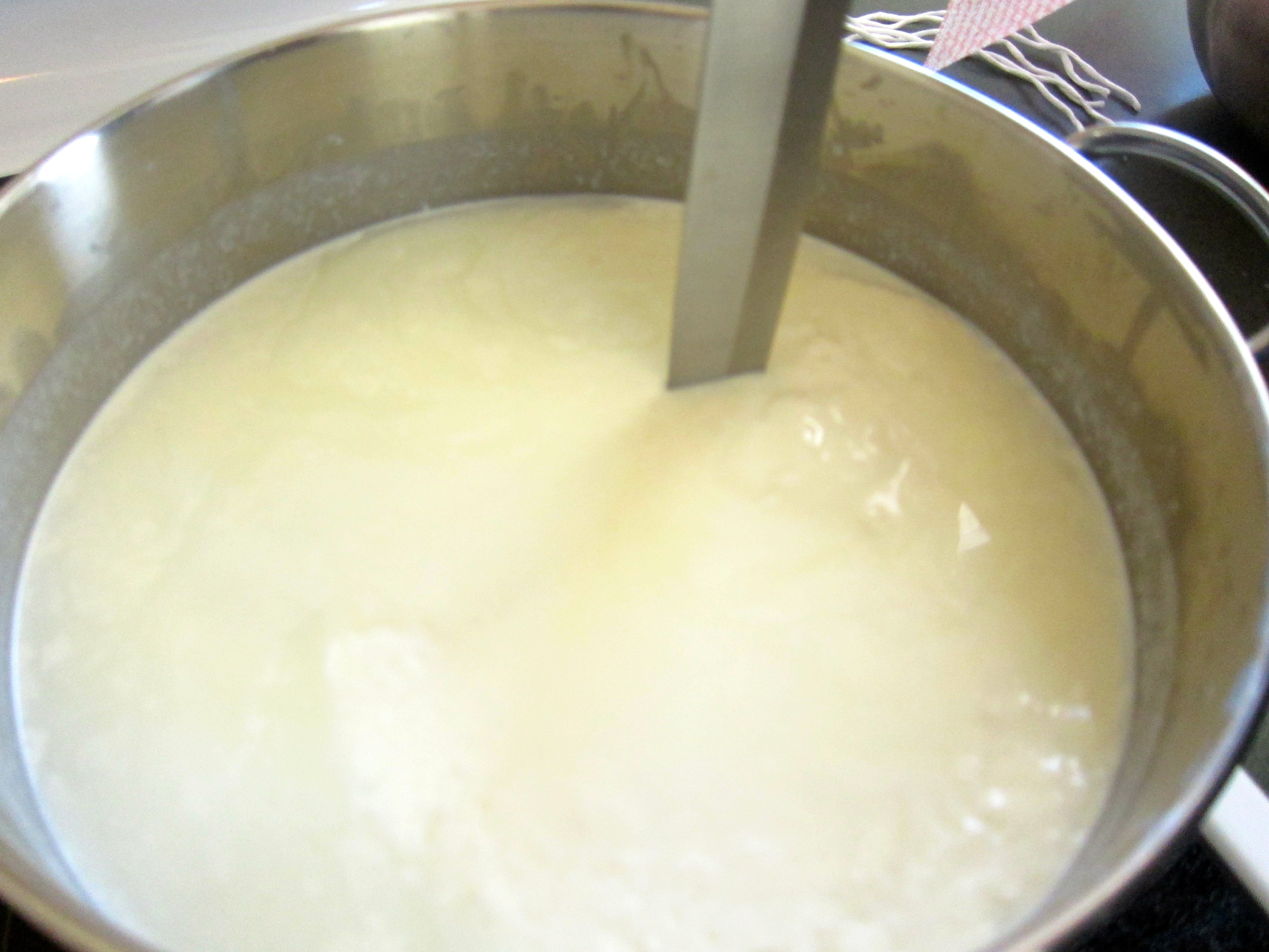 Вода после сыра. Сыр из сыворотки в домашних. Домашний сыр из молока. Молоко для приготовления сыра. Сыр из сыворотки и козьего молока.