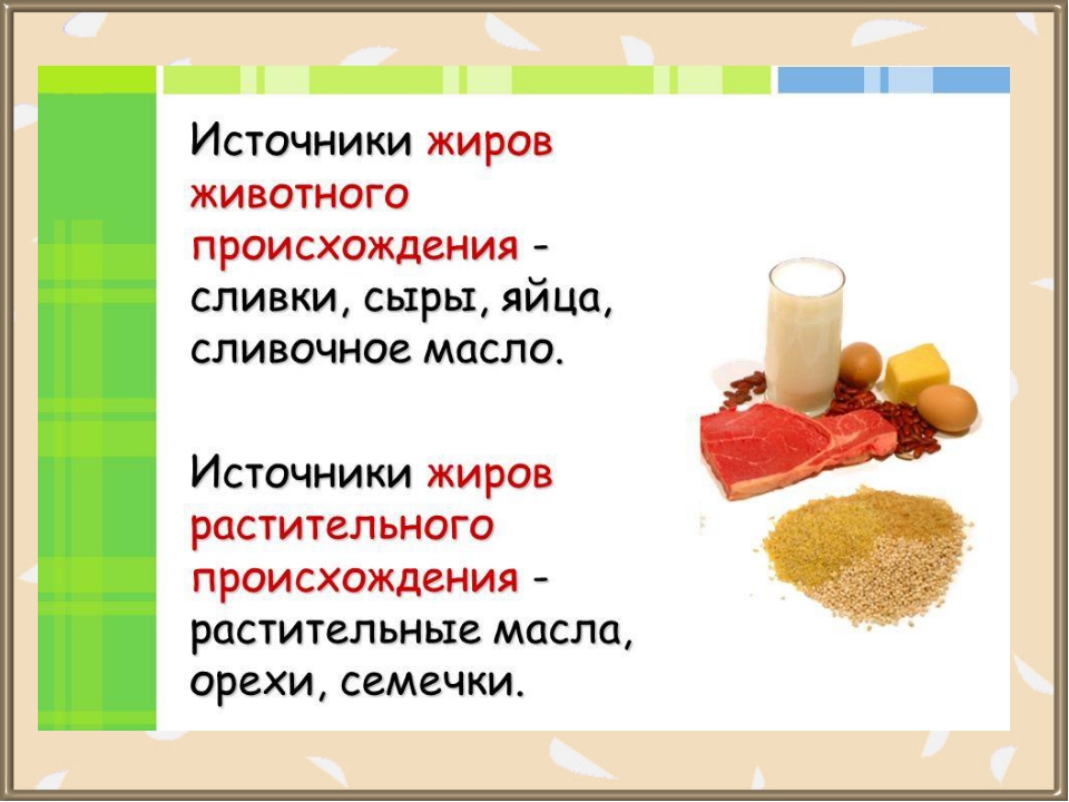 Проект жиры как продукт питания и химическое сырье