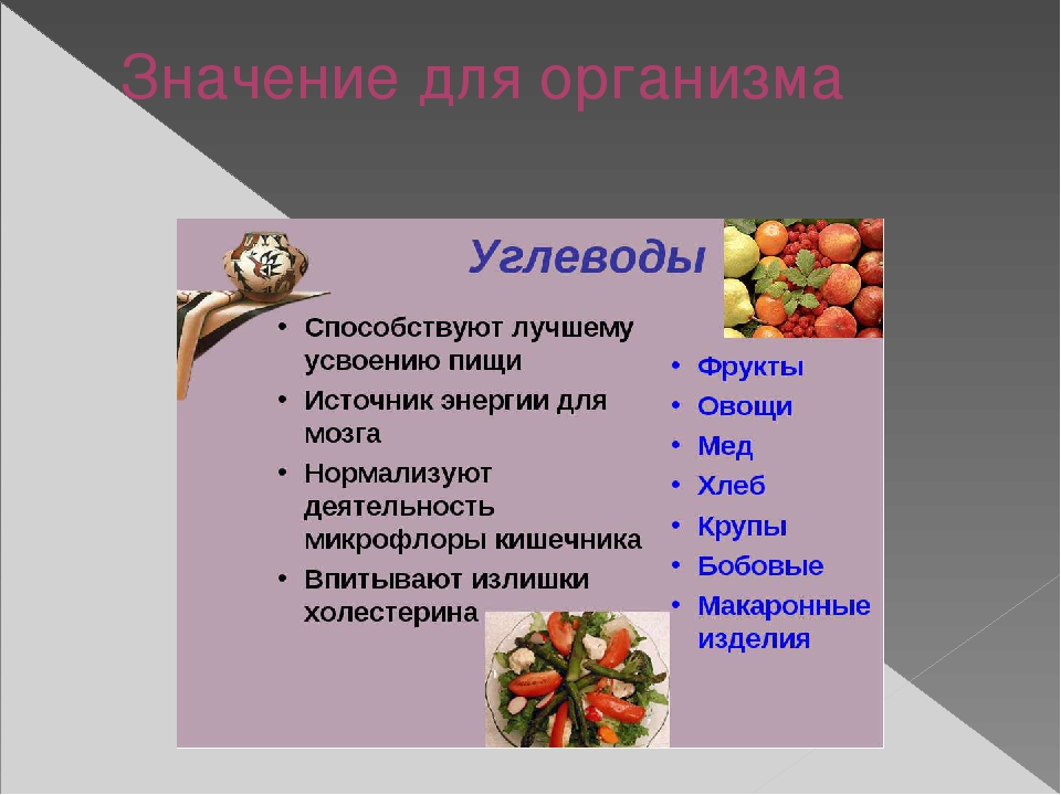 Продукт по биологии для проекта