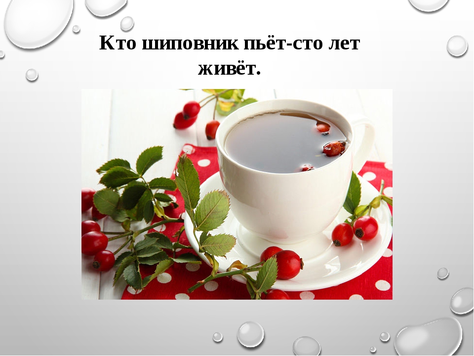 Шиповник утром. Кто шиповник пьет СТО лет живет. С добрым утром шиповник. Шиповник живёт лет. Доброе утро с шиповником и надписями.