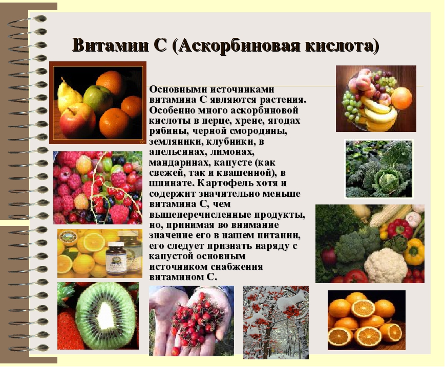 Основные источники растительного. Источники витамина с. Пищевые источники витамина а. Витамины в фруктах и ягодах. Основные источники витаминов.