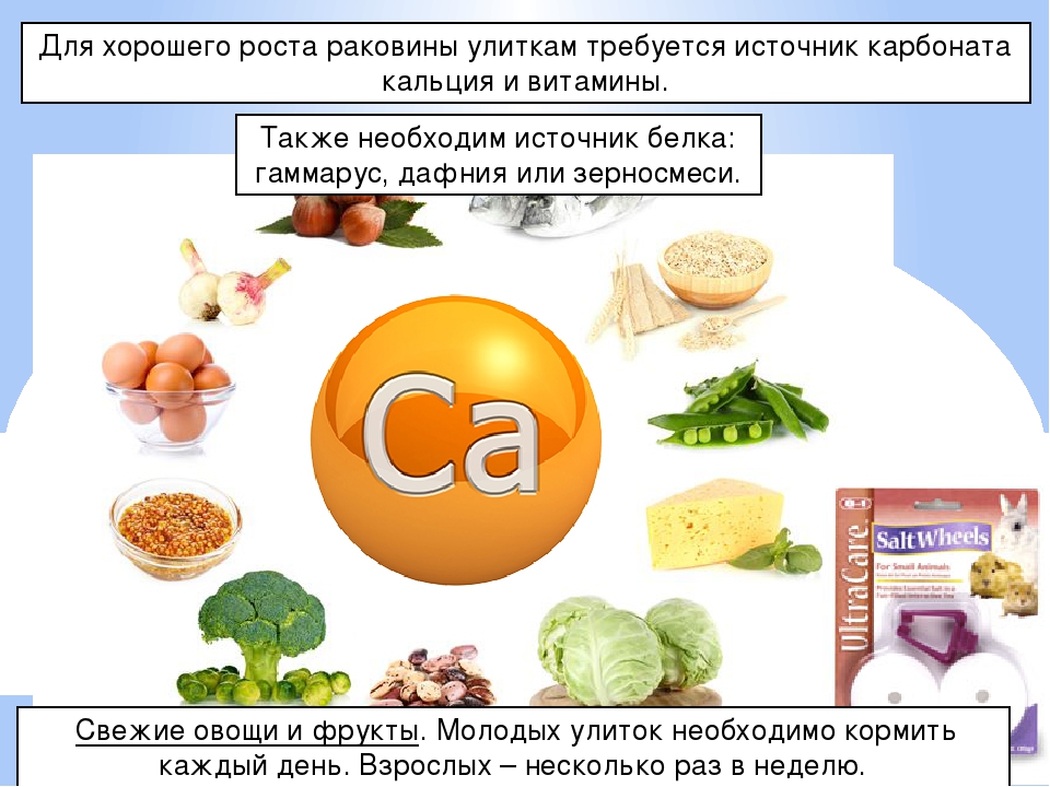 В каких продуктах витамин кальций. Витамин д продукты. Витамин д содержится в продуктах. Продукты содержащие витамин д. Витамин д в каких продуктах.