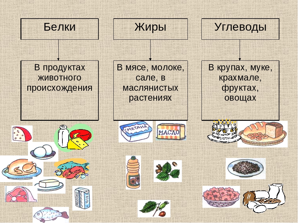 Опишите обмен белков жиров углеводов по плану в каких продуктах в основном содержатся