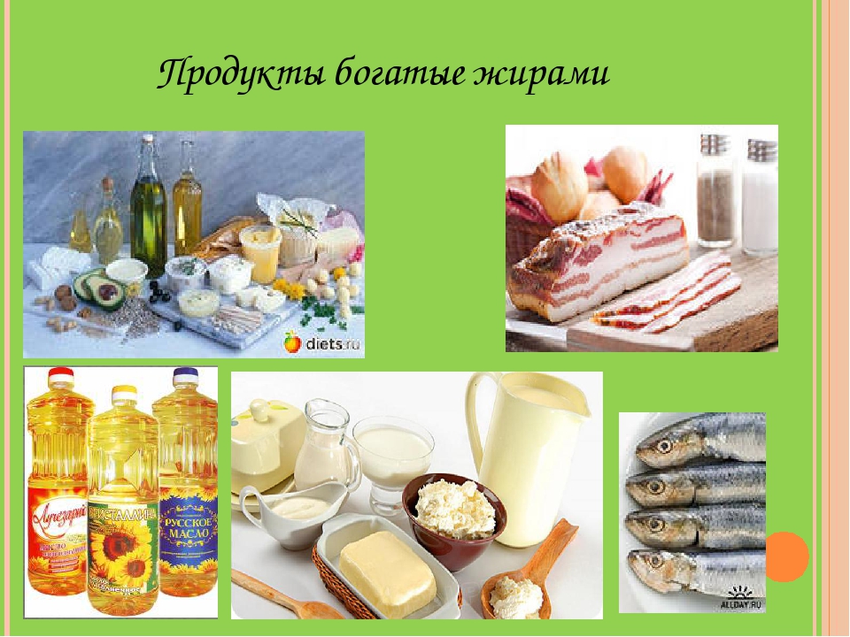 Жиры продукты картинки