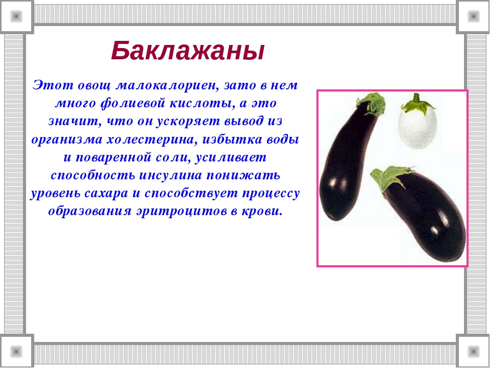 Баклажан это ягода или фрукт. Информация про баклажан. Сообщение о баклажане. Баклажан витамины. Интересные факты о баклажане.