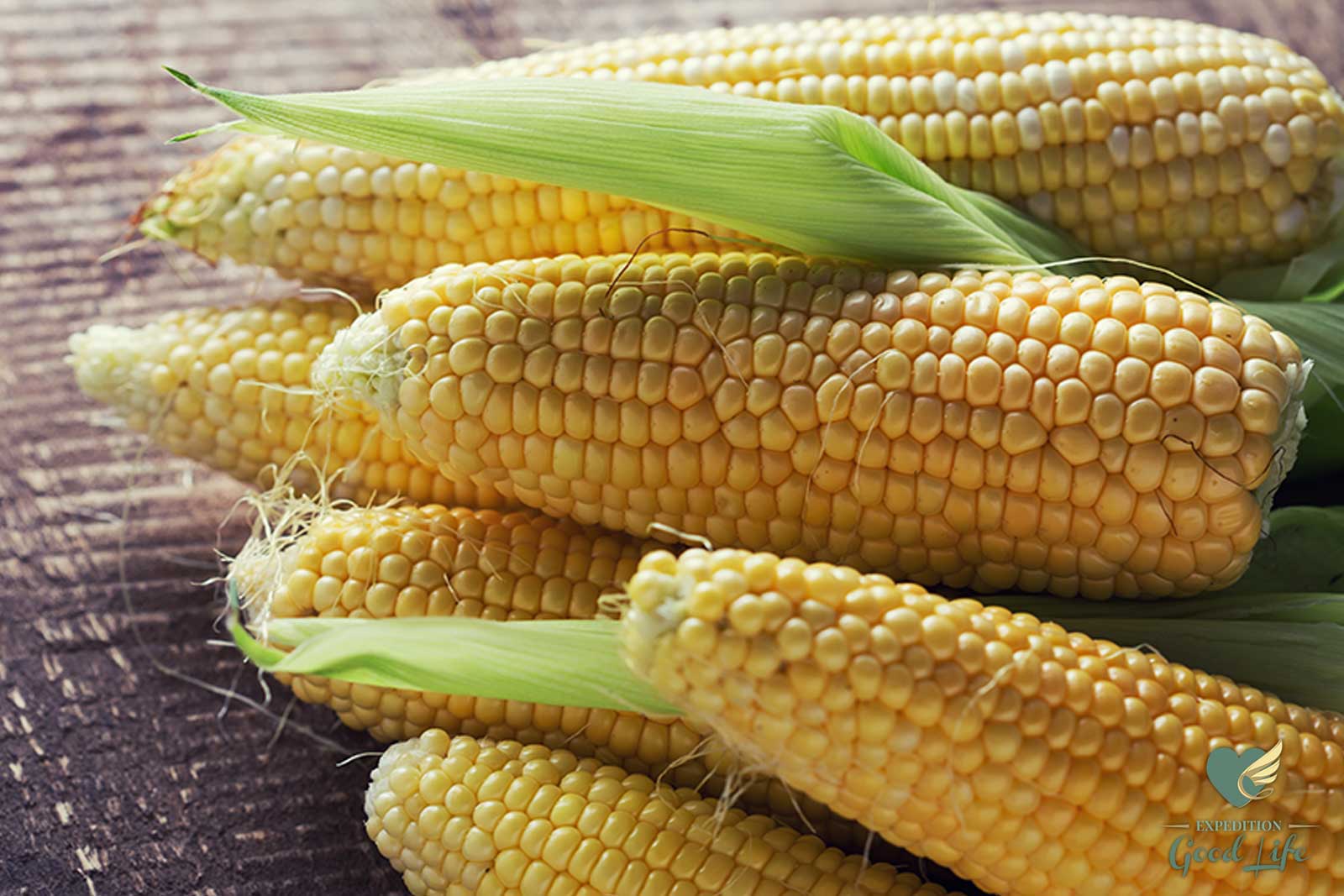 Corn на русском. Кукуруза - Zea Mays l.. Кукуруза сахарная миниголд. Кукуруза сахарный початок. Кукурузные початки Микао.